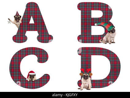 Süße Weihnachten mops Welpe Hund Alphabet Buchstaben a b c d, auf weißem Hintergrund Stockfoto