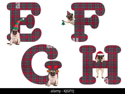 Süße Weihnachten mops Welpe Hund Alphabet Buchstaben e f g h, auf weißem Hintergrund Stockfoto