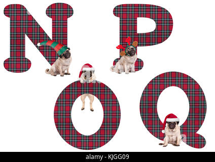 Süße Weihnachten mops Welpe Hund Alphabet Buchstaben n p o q, auf weißem Hintergrund Stockfoto