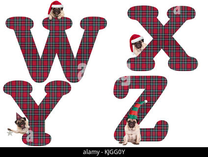 Süße Weihnachten mops Welpe Hund Alphabet Buchstaben w x y z, auf weißem Hintergrund Stockfoto