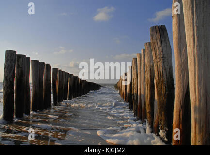 Abends am Strand bei dishoek, Zeeland, Niederlande Stockfoto