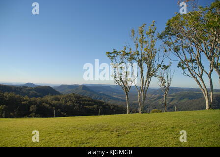 Berge der grünen Berge" in Lamington National Park, Australien, aus Kamarun Lookout gesehen Stockfoto