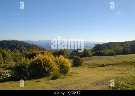 Blick auf die grünen Berge Abschnitt der Lamington Nationalpark von O'Reilly's, Australien Stockfoto