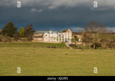 Teesdale Landschaft, November 2017, West Farm von Hutton Magna Under A Dark Sky und starken Sonnenschein an einem windigen Tag squally mit Kopie Raum Stockfoto