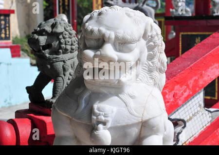 Tin Hau Temple, Causeway Bay, Hong Kong Stockfoto