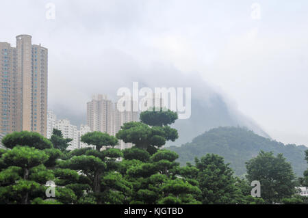 Sha Tin Central Park in Hongkong. Stockfoto