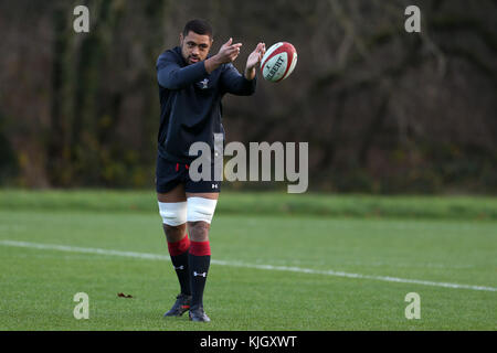 Hensol, Wales, UK. 23. November 2017. taulupe faletau, die Wales Rugby Player in Aktion während der Wales Rugby Team Training im Vale Resort Hotel in hensol, in der Nähe von Cardiff, South Wales am Donnerstag, den 23. November 2017. Das Team bereitet sich auf den Herbst internationale Reihe Testspiel gegen Neuseeland dieses Wochenende. Credit: Andrew Obstgarten/alamy leben Nachrichten Stockfoto