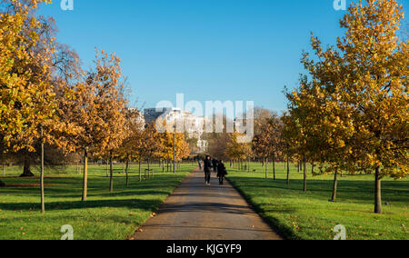 Hyde Park, London, UK. 23. November 2017. Fußgänger auf einer von Bäumen gesäumten Pfad im Hyde Park, London während einer schönen Herbsttag Stockfoto