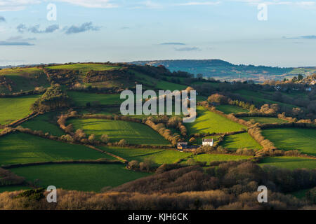 Golden Cap, Dorset, Großbritannien. 24. November 2017. UK Wetter. Blick vom Gipfel des Goldenen Kappe auf der Jurassic Coast von Dorset in Richtung Morcombelake an einem kalten sonnigen Nachmittag. Golden Cap ist die höchste Klippe an der Südküste von England. Foto: Graham Jagd-/Alamy leben Nachrichten Stockfoto