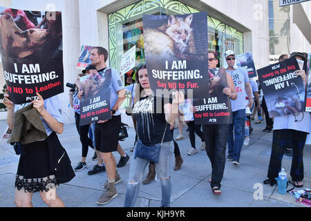 Beverly Hills, Kalifornien, USA. 24. November 2017. peta Tierschuetzer beschmutzt protestieren in Beverly Hills. Sie gingen an Store protestieren die Verwendung von tierischem Fell für Mode. Stockfoto