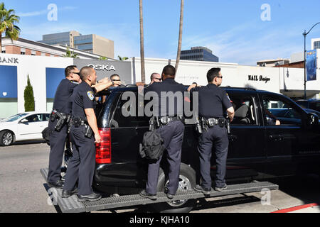 Beverly Hills, Kalifornien, USA. 24. November 2017. peta Tierschuetzer beschmutzt protestieren in Beverly Hills. Sie gingen an Store protestieren die Verwendung von tierischem Fell für Mode. Stockfoto