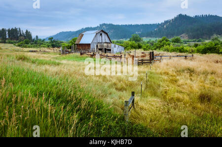 Holz- Scheune von Vegetation überwuchert in indigenen Indianerreservat umgeben an einem bewölkten Tag, in der Nähe von Sioux Falls, South Dakota, USA aufgegeben. Stockfoto