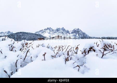 Wilder Kaiser mountainrange Panorama mit Schnee im Winter, going am wilden kaiser, tirol, Österreich Stockfoto