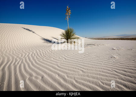 Die einzigartige und wunderschöne White Sands National Monument in New Mexico. Dieser Gips dune Feld ist die größte ihrer Art in der Welt. In Southe entfernt Stockfoto