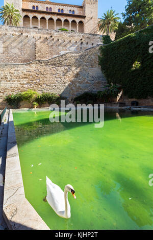 Die Kathedrale von Palma, Mallorca, Balearen, Spanien Stockfoto