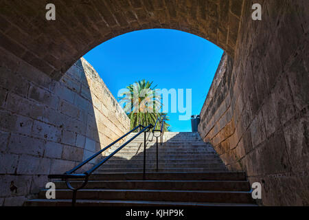 Die Kathedrale von Palma, Mallorca, Balearen, Spanien Stockfoto