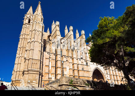 Die Kathedrale von Palma, Mallorca, Balearen, Spanien Stockfoto