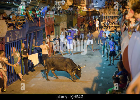 Bull Run in Orba, Spanien. Stockfoto