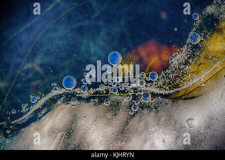 Luftblasen im Eis Stockfoto