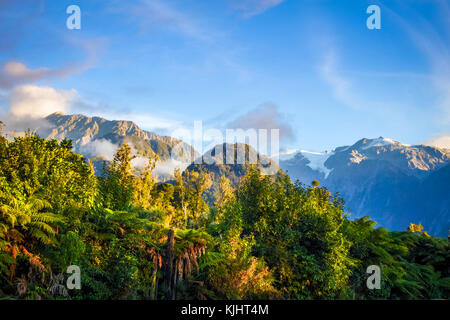 Franz Josef Gletscher und Regenwald Landschaft, Neuseeland Stockfoto