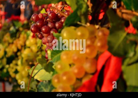 Rote Trauben auf Harvest Festival Stockfoto