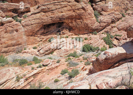 Szenen und Themen in und rund um die Red Rock Canyon National Conservation Area in der Nähe von Las Vegas, Nevada Stockfoto