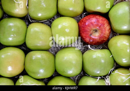 Roter Apfel, umgeben von grünen Äpfeln Stockfoto