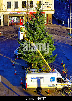 Mitarbeiter des Stadtrats von South Tyneside, die den Weihnachtsbaum auf dem South Shields Market Square aufstellten Stockfoto