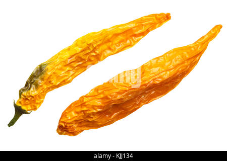 Getrocknete aji giallo Arancio (Capsicum baccatum). top Aussicht, Beschneidungspfade Stockfoto