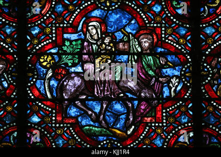 Der Kathedrale von Auxerre, dem heiligen Stephan geweiht. Glasfenster. Die heilige Familie. Flucht nach Ägypten. Frankreich. Stockfoto