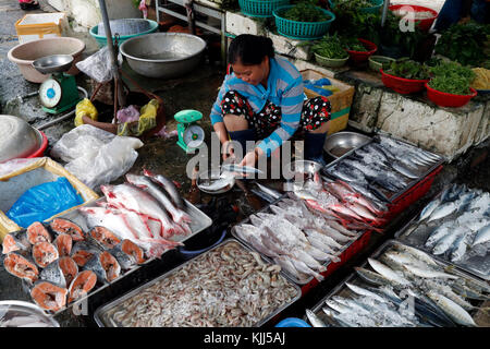 Kon Tum Markt. Frau Verkauf von Fisch. Vietnam. Stockfoto