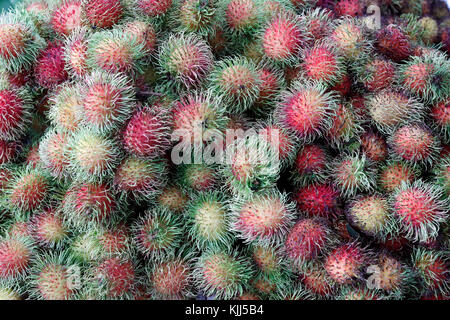 Rambutan zum Verkauf auf dem Markt. Kon Tum. Vietnam. Stockfoto