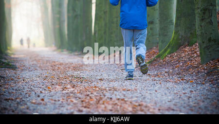 Rückansicht der Jogger in einer niederländischen Park an einem Herbstmorgen Stockfoto