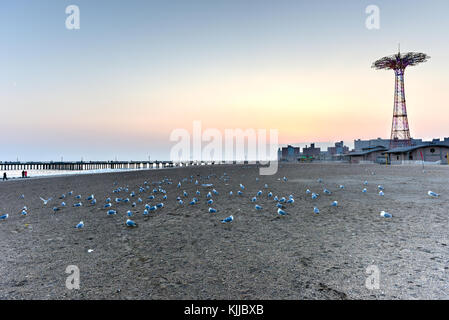 Coney Island Strand mit Möwen im Sonnenuntergang. Stockfoto