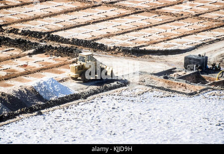 Die Salinen, Salinas de Janubio, an der Küstenstraße von Yaiza, Playa Blanca auf Lanzarote, Kanarische Inseln. Stockfoto