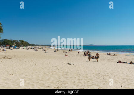 Noosa Head, Australien, Reisen, Strände, Vögel, Blumen, blauer Himmel Stockfoto