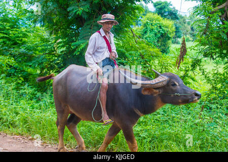 SHAN STAAT, MYANMAR - 06 SEP: burmesische Bauern reiten Büffel in Shan Staat Myanmar am 06. September 2017 ist die Landwirtschaft der wichtigste Wirtschaftszweig in Myanmar Stockfoto
