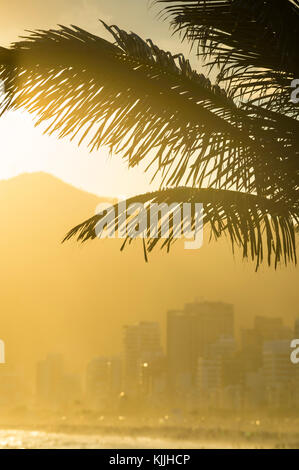 Golden Sunset leuchtet die Silhouette der Palmwedel gegen die Umrisse der Gebäude und Berge von Ipanema in Rio de Janeiro, Brasilien Stockfoto