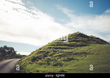 Ziegen grasen auf einem Hügel in der Nähe der fairy Glens in der Isle of Skye in Schottland Stockfoto