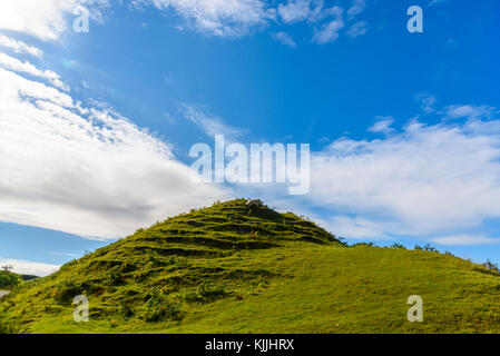 Ziegen grasen auf einem Hügel in der Nähe der fairy Glens in der Isle of Skye in Schottland Stockfoto