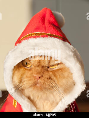 Santa Claus Hat Stockfoto