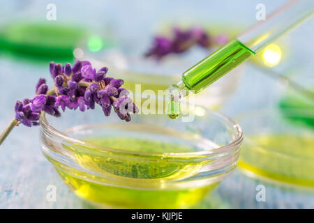 Transparente Schale mit Tropfen Lavendel ätherisches Flüssigkeit in Dropper auf Holzuntergrund mit Arzneimitteln, Blumen Stockfoto