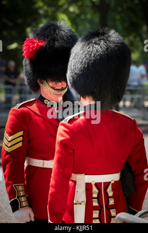 TROUPING DER FARBE (07/30/17) Die MALL LONDON VEREINIGTES KÖNIGREICH Stockfoto