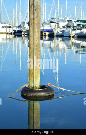 Holz- Liegeplatz Pol mit Schwarz schwimmen auf Absolut ruhige Wasseroberfläche widerspiegelt. Stockfoto