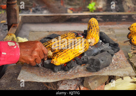 Mais wird auf Kohle geröstet, Pune, Maharashtra. Stockfoto