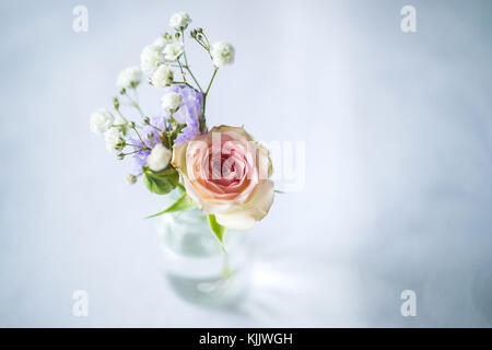 Blumen in einer Vase. Frankreich. Stockfoto
