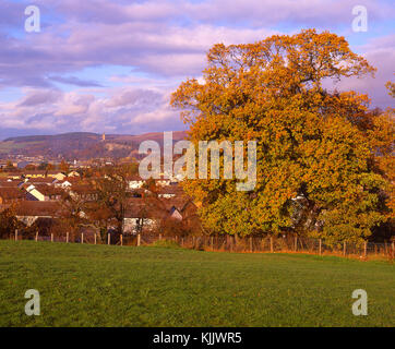 Herbst Szene gegen die Ochil Hills und das Wallace Monument suchen, als aus dem Süden Osten, Stirling gesehen, stirlingshire Stockfoto