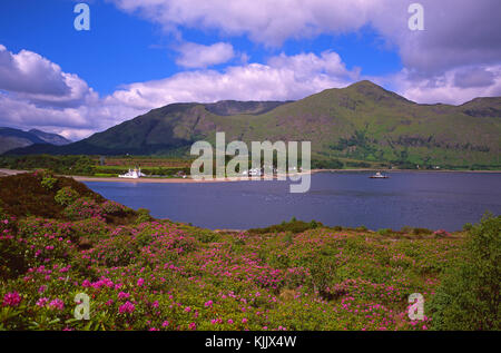 Sommer Blick über die corran Sound nach ardgour, corran, West Highlands Stockfoto