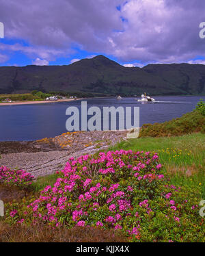 Sommer Blick über die corran Sound nach ardgour, corran, West Highlands Stockfoto
