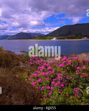 Sommer Blick über die corran Sound nach ardgour, corran, West Highlands Stockfoto